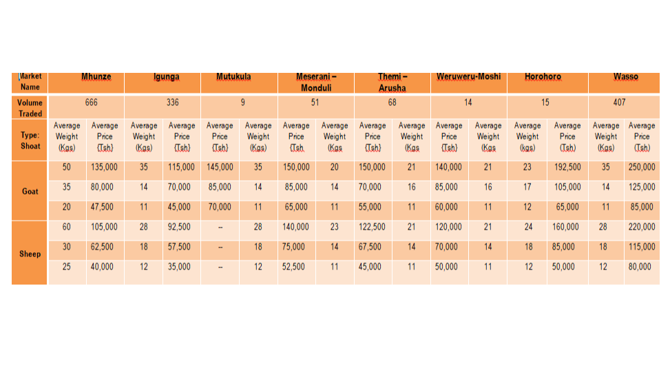 Taarifa ya Soko la Mifugo (Mbuzi na Kondoo) kwa wiki inayoishia tarehe 6 Oktoba, 2023